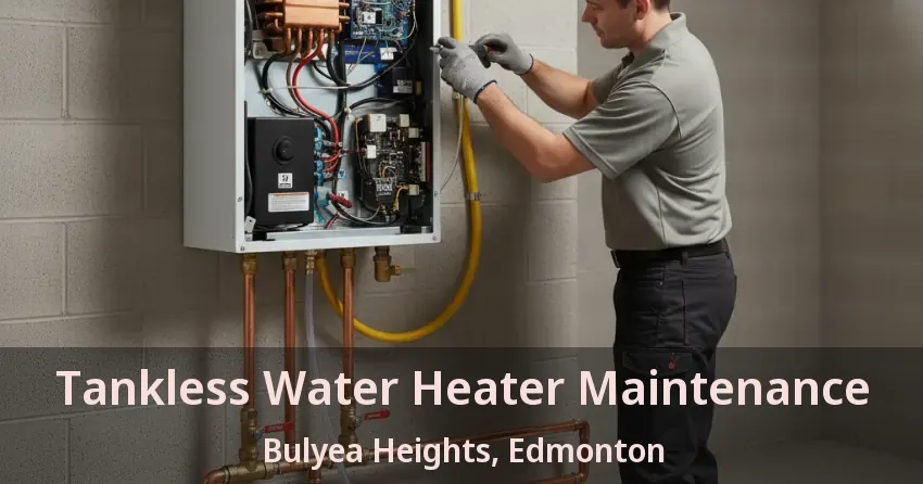 Tankless Water Heater Maintenance Bulyea Heights, Edmonton - AB