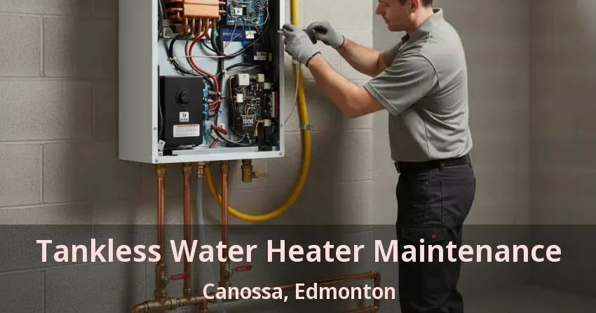 Tankless Water Heater Maintenance Canossa, Edmonton - AB