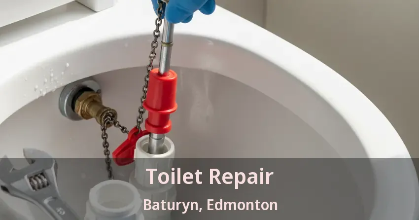 Toilet Repair Baturyn, Edmonton - AB