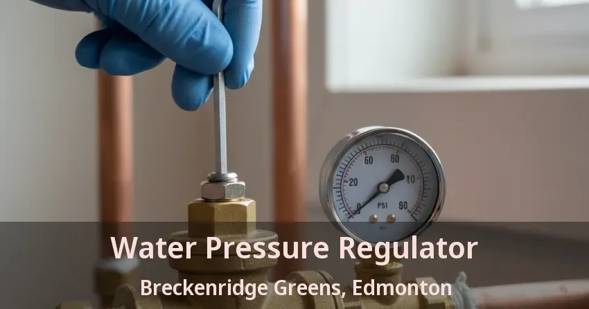 Water Pressure Regulator Breckenridge Greens, Edmonton - AB