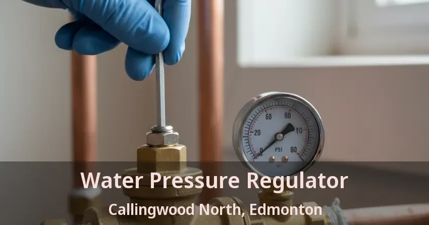 Water Pressure Regulator Callingwood North, Edmonton - AB